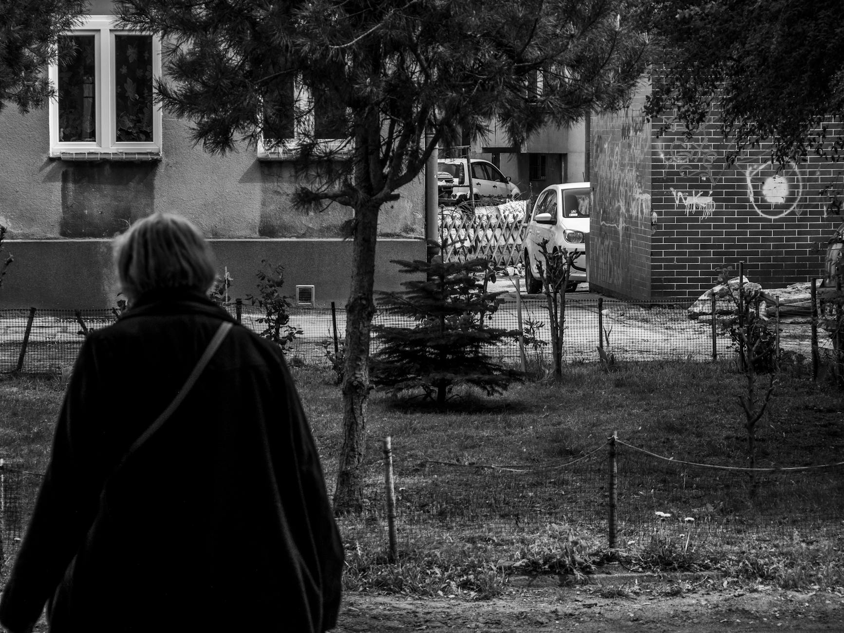 Panorama miasta Kwidzyn z widocznym zamkiem krzyżackim